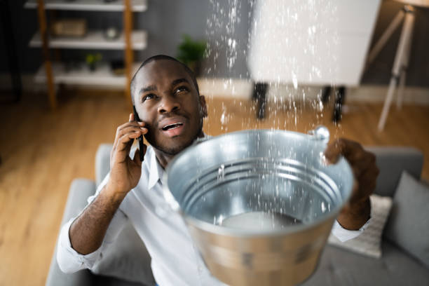 Best Basement water damage restoration  in Floresville, TX