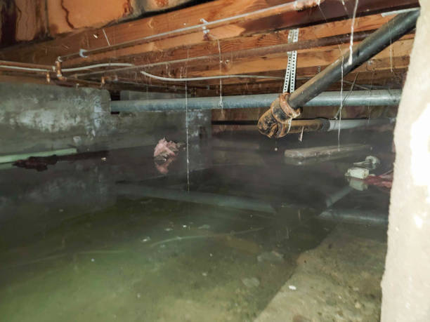 Best Residential water damage restoration  in Floresville, TX