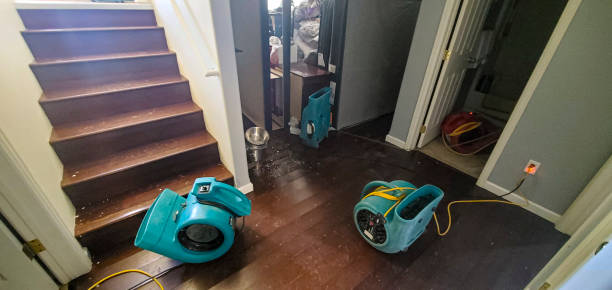 Best Fire Damage Restoration  in Floresville, TX