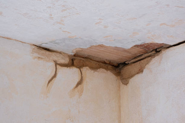 Best Emergency water extraction  in Floresville, TX