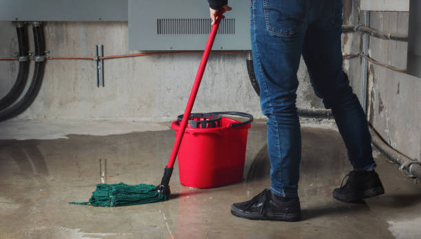 Professional Water damage restoration in Floresville, TX