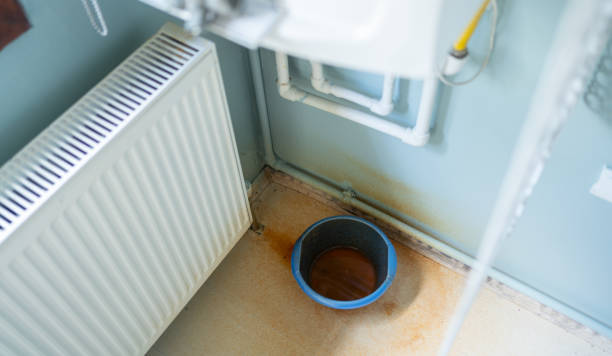 Best Sewage cleanup and water damage restoration  in Floresville, TX