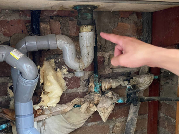Best Local water damage restoration  in Floresville, TX