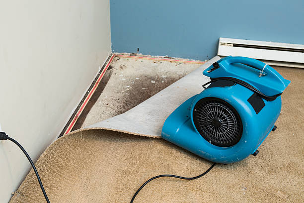 Local water damage restoration in Floresville, TX